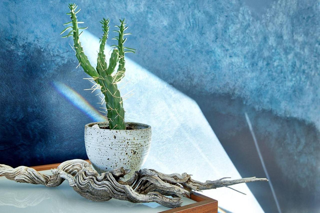 Skyhouse Villa Joshua Tree Eksteriør billede